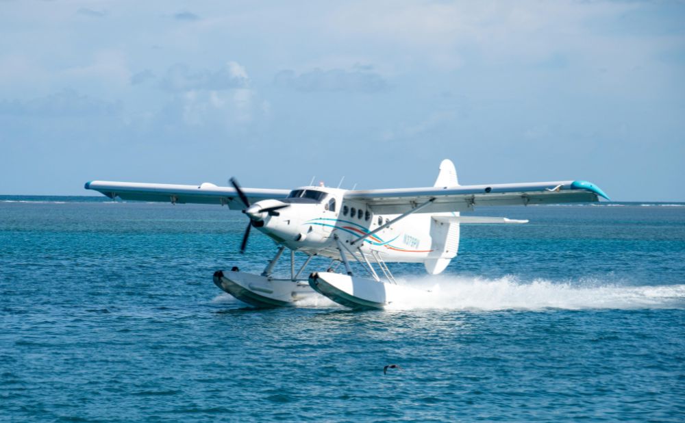 Image link